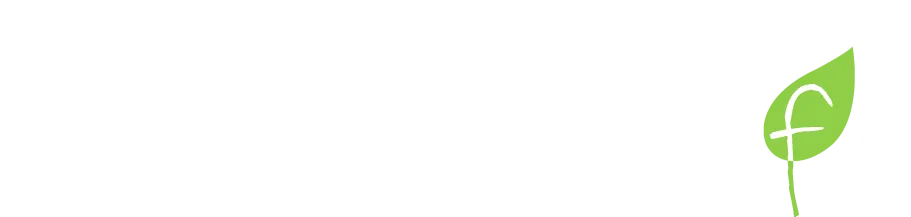 ホームページを開設しました！